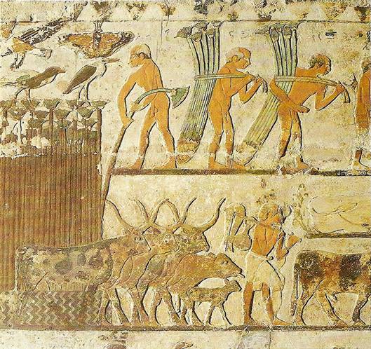 Egyptské malířství: Kolorované nízké reliéfy ze scénami ze života řemeslníků a zemědělců z Neferovy hrobky u Sakkáry