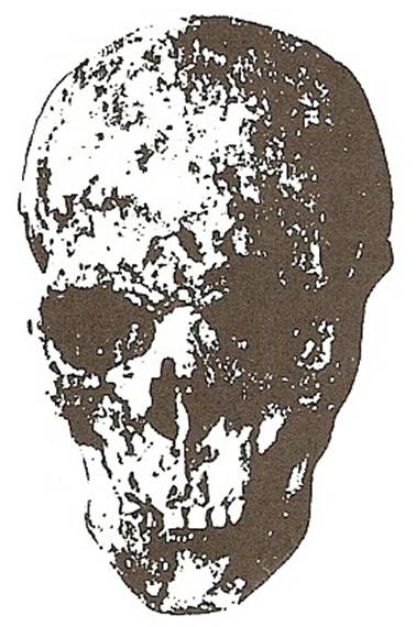 Lebka Karla IV. (stav při antropologickém průzkumu v roce 1977)