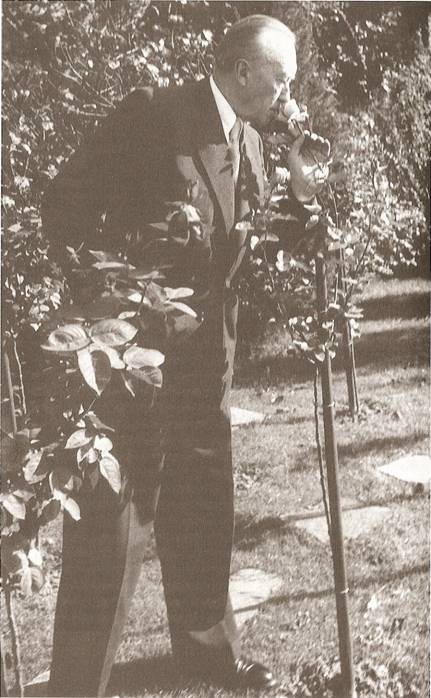 Milovník růží Konrad Adenauer ve svém rozáriu u rodinné vily v Rhöndorfu