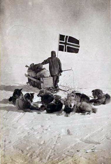 Psi - nezbytní pomocníci na cestě k jižnímu pólu