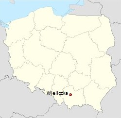 Z Ostravy do polské Wieliczky je cca 180 km